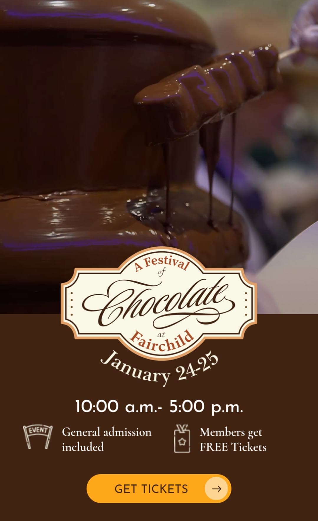 A Festival of Chocolate