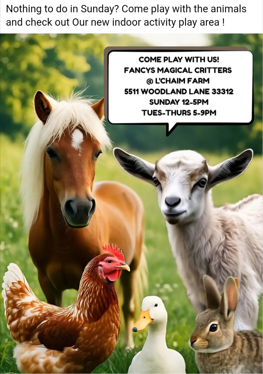 Fancys Magical Critters @ L'Chaim Farm