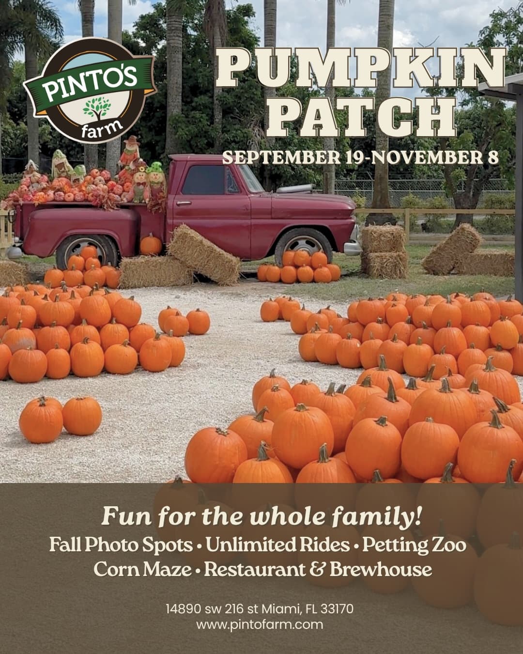 Pinto's Farm Pumpkin Patch
