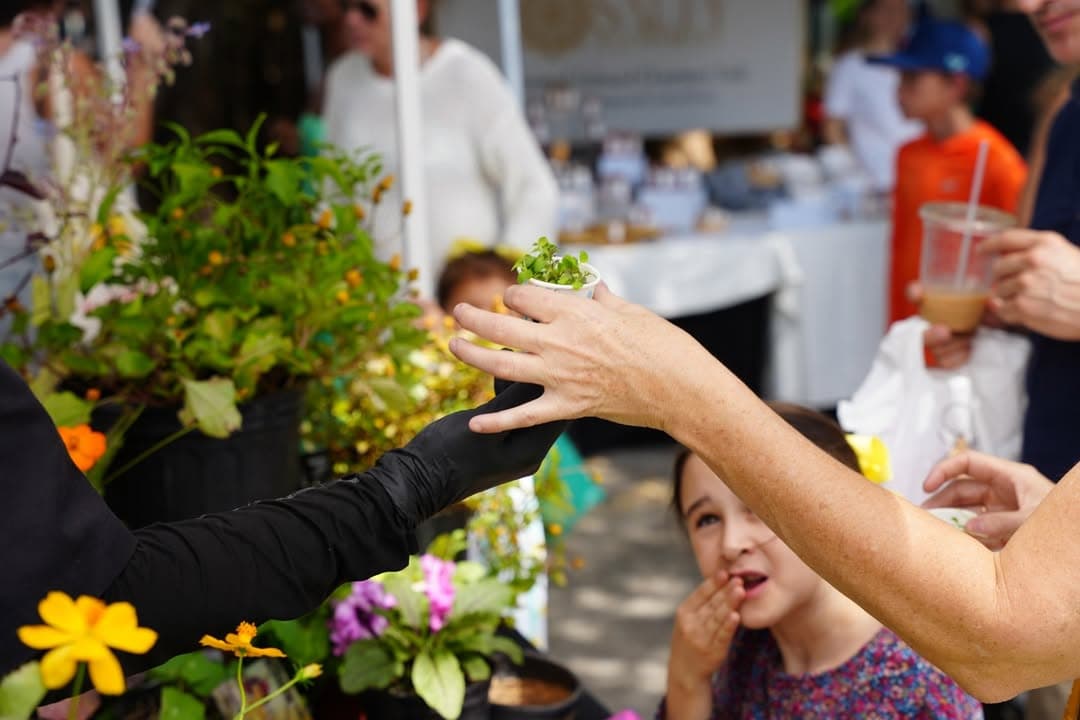 Pinecrest Farmers Market