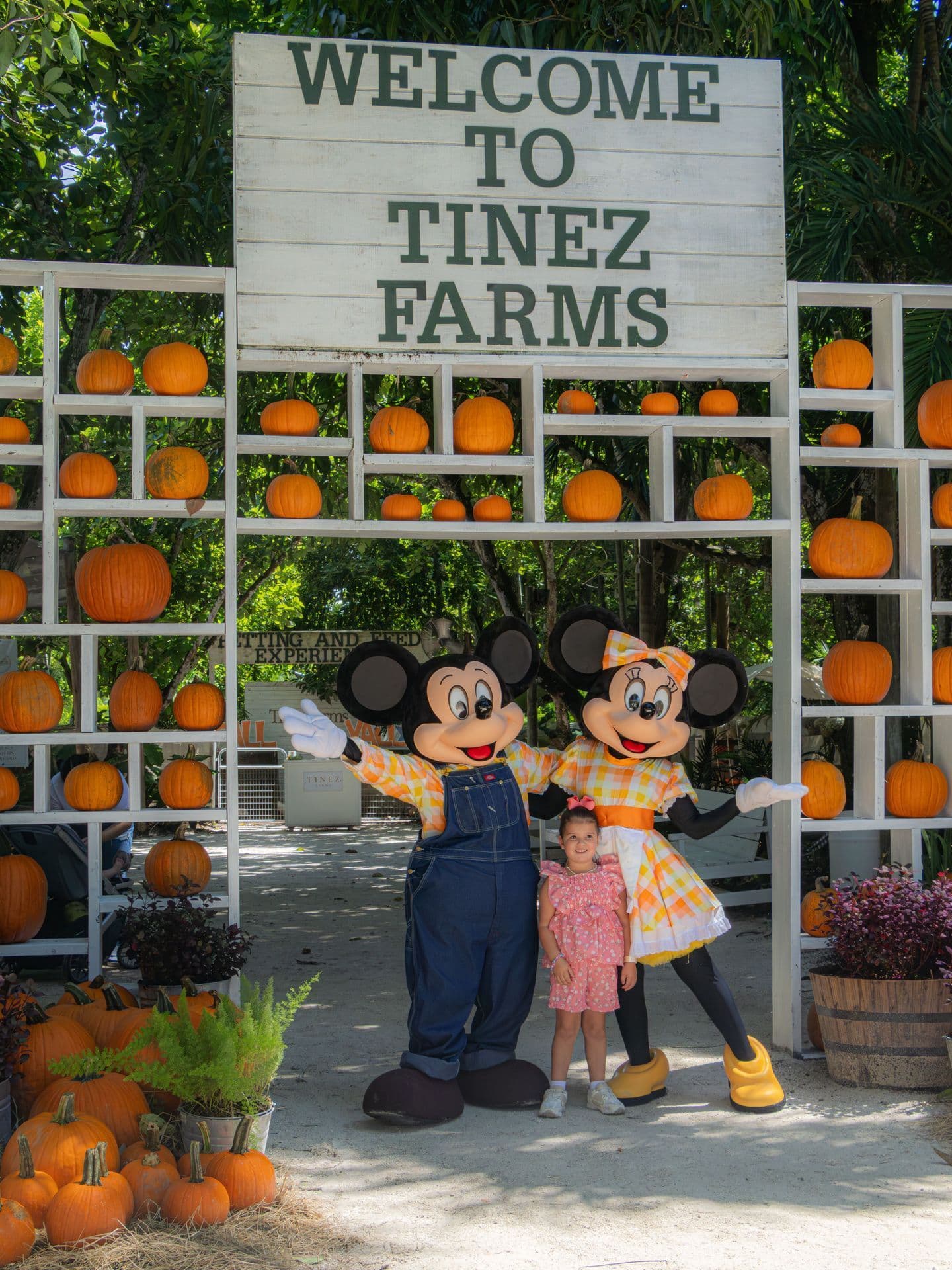 Mr. & Mrs. Mouse Meet-and-Greet