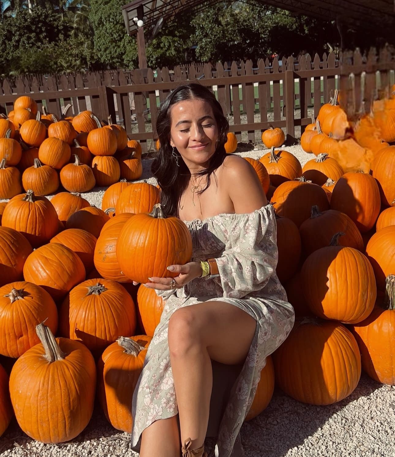 Pumpkin Patch Events at Pintos Farm