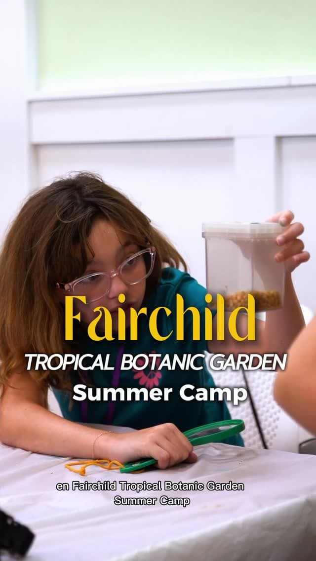Fairchild Tropical Botanic Garden Summer Camp