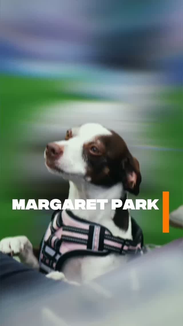 Margaret Farmers Market