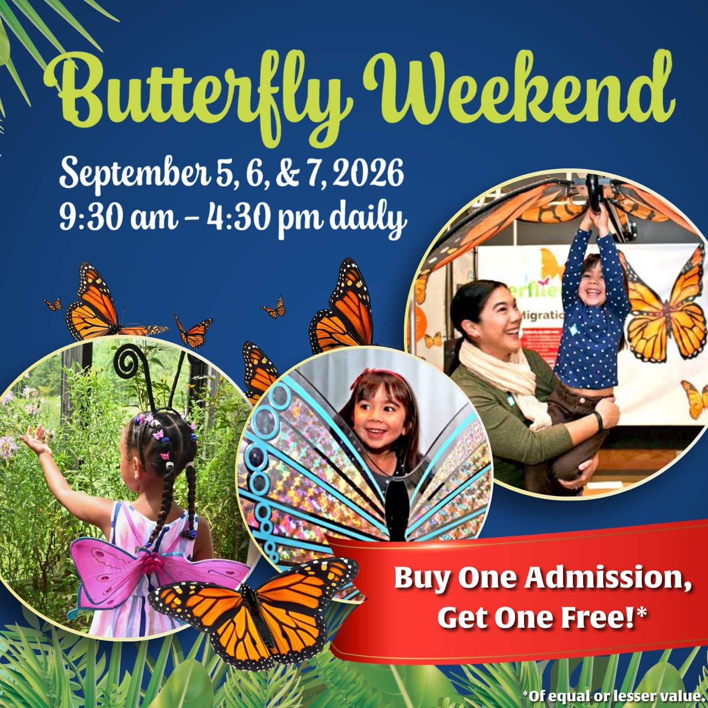 Butterfly Weekend