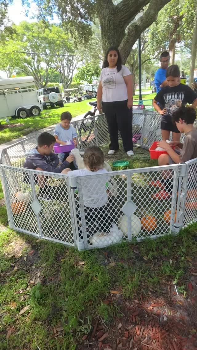 Memorial Park Family Fun
