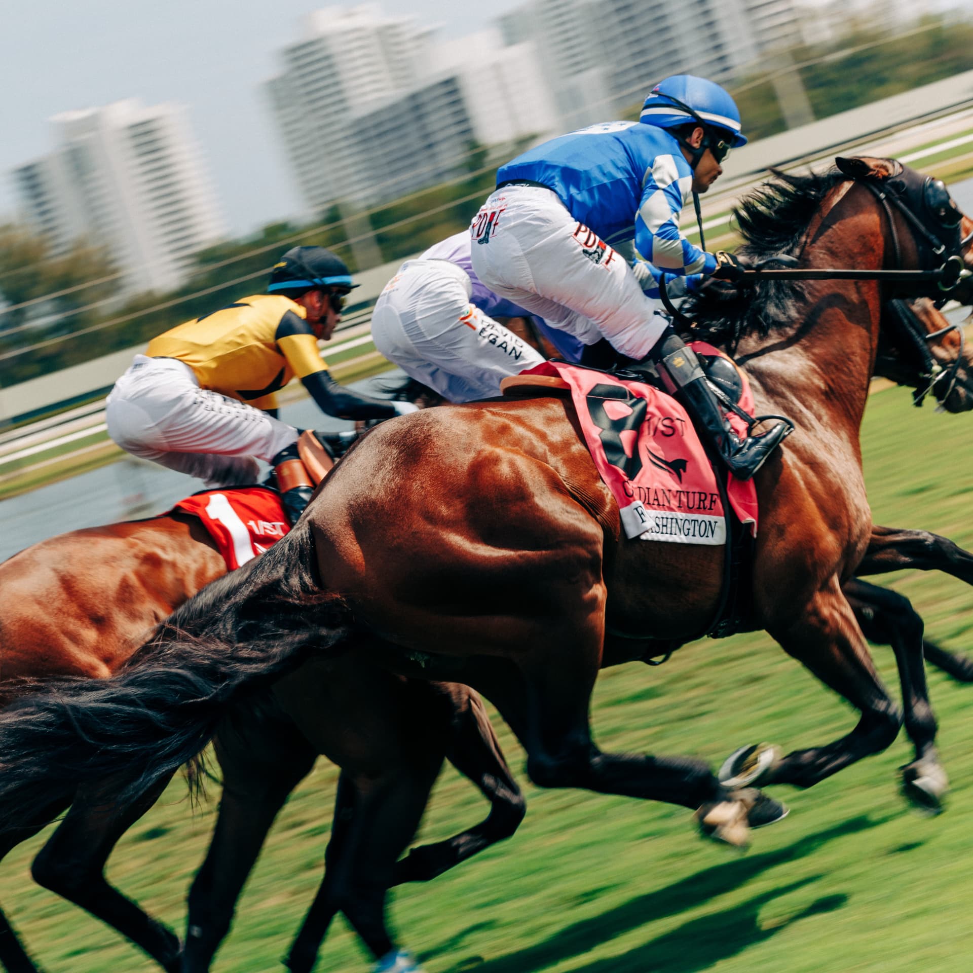 Family Day at the Races