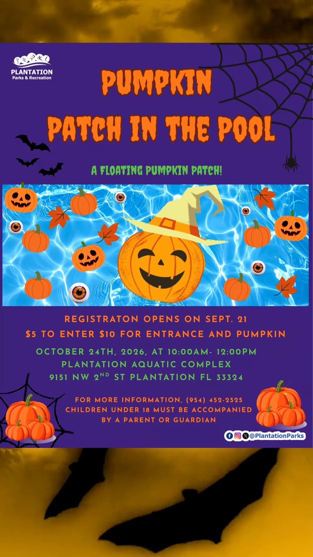 Pumpkin Patch in the Pool