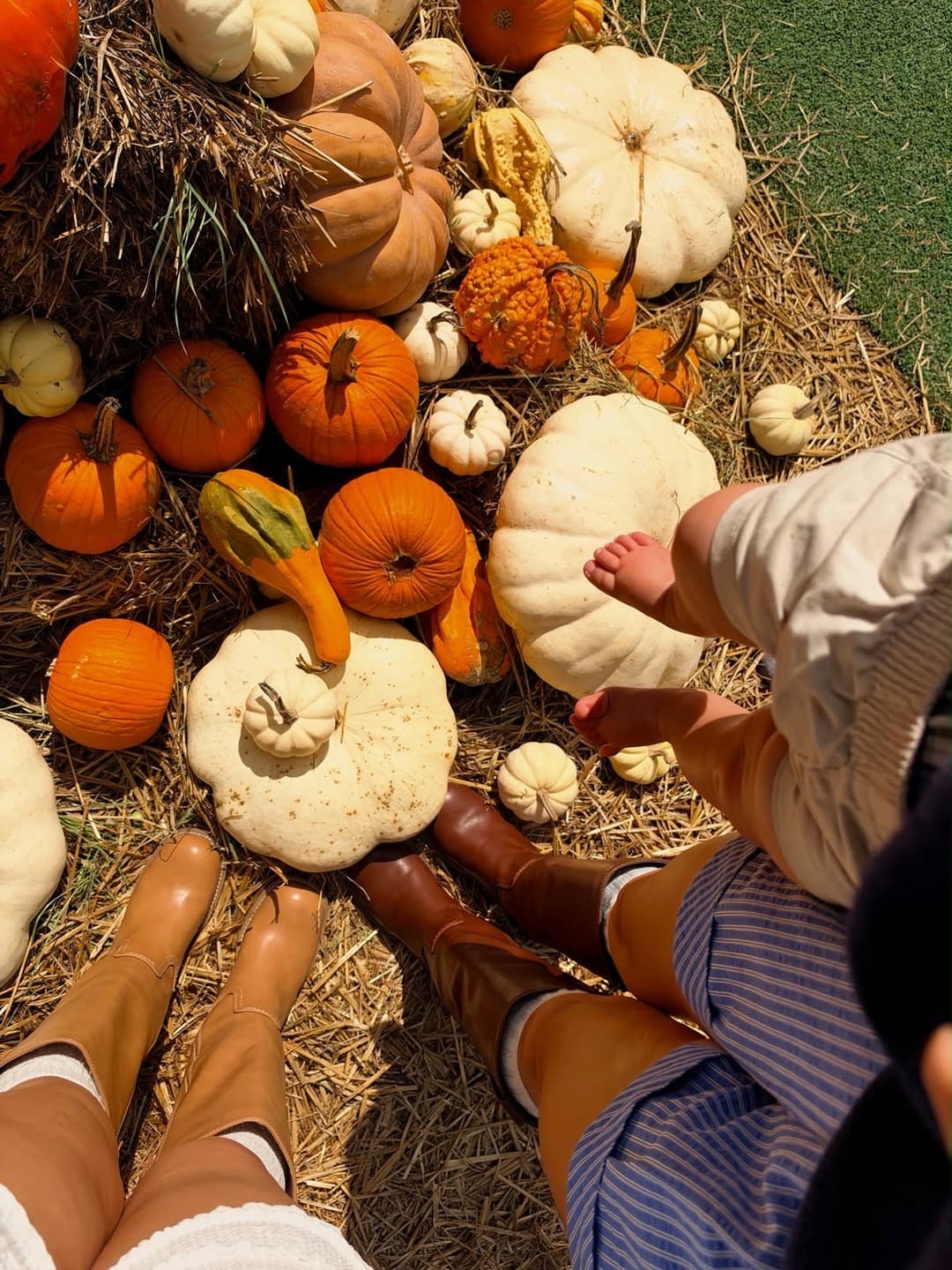 Fall at the Farm & Animal Experience