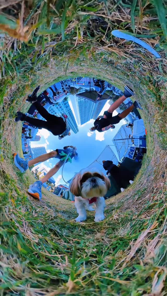 Sunday Hangout at Margaret Pace Park