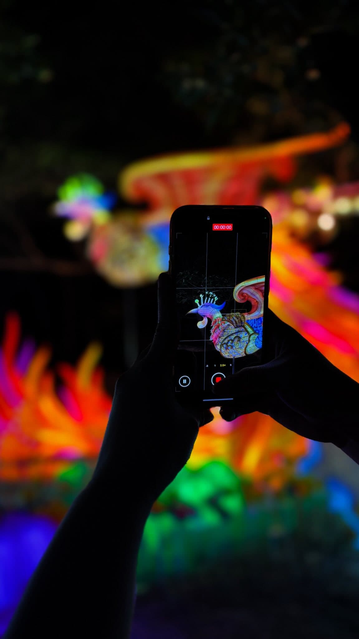 Luminosa at Jungle Island