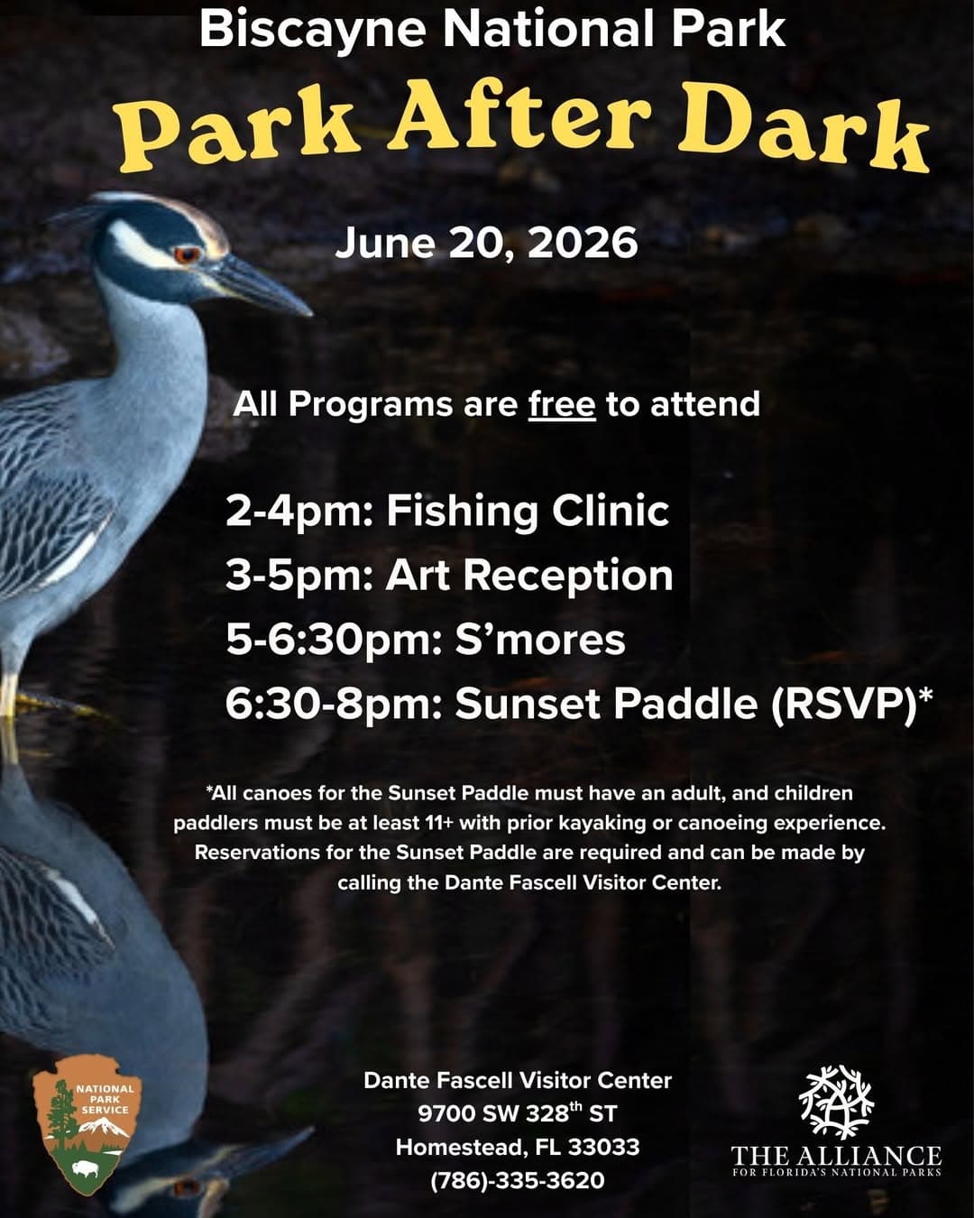 Park After Dark