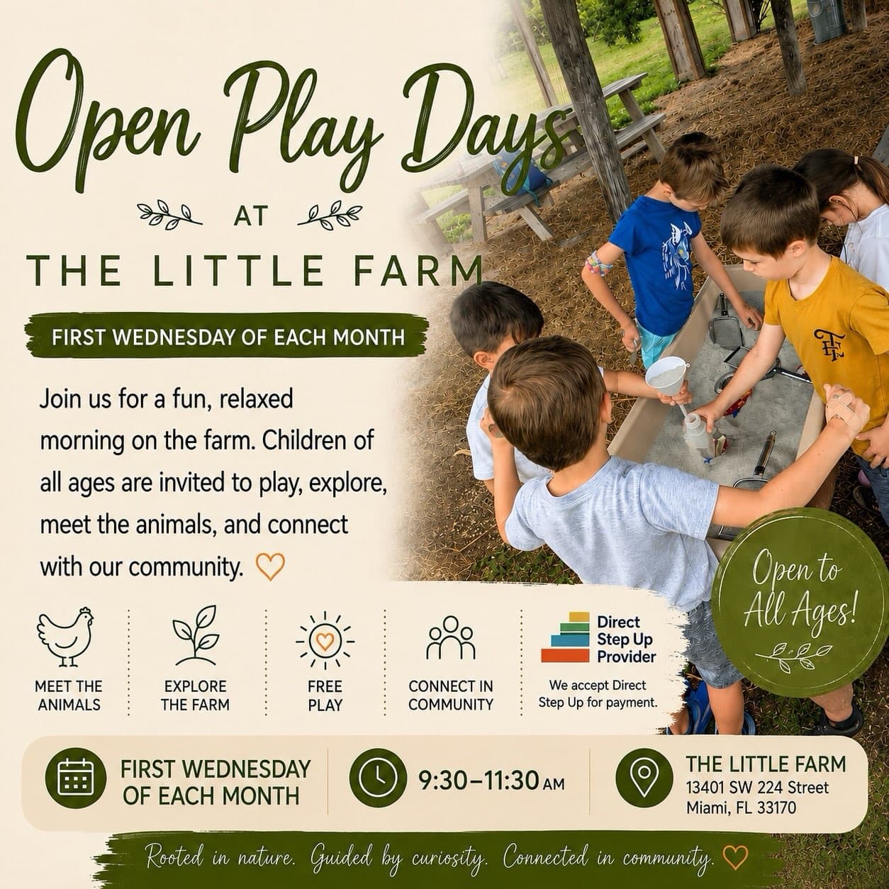 Open Play Days at The Little Farm