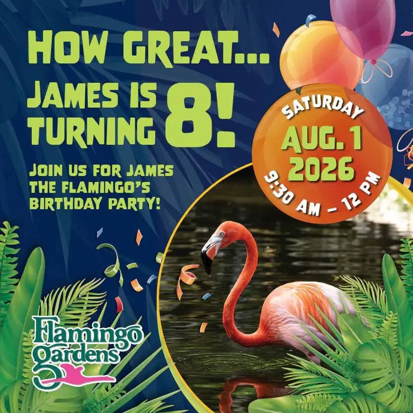 James the Flamingo's 8th Birthday Party