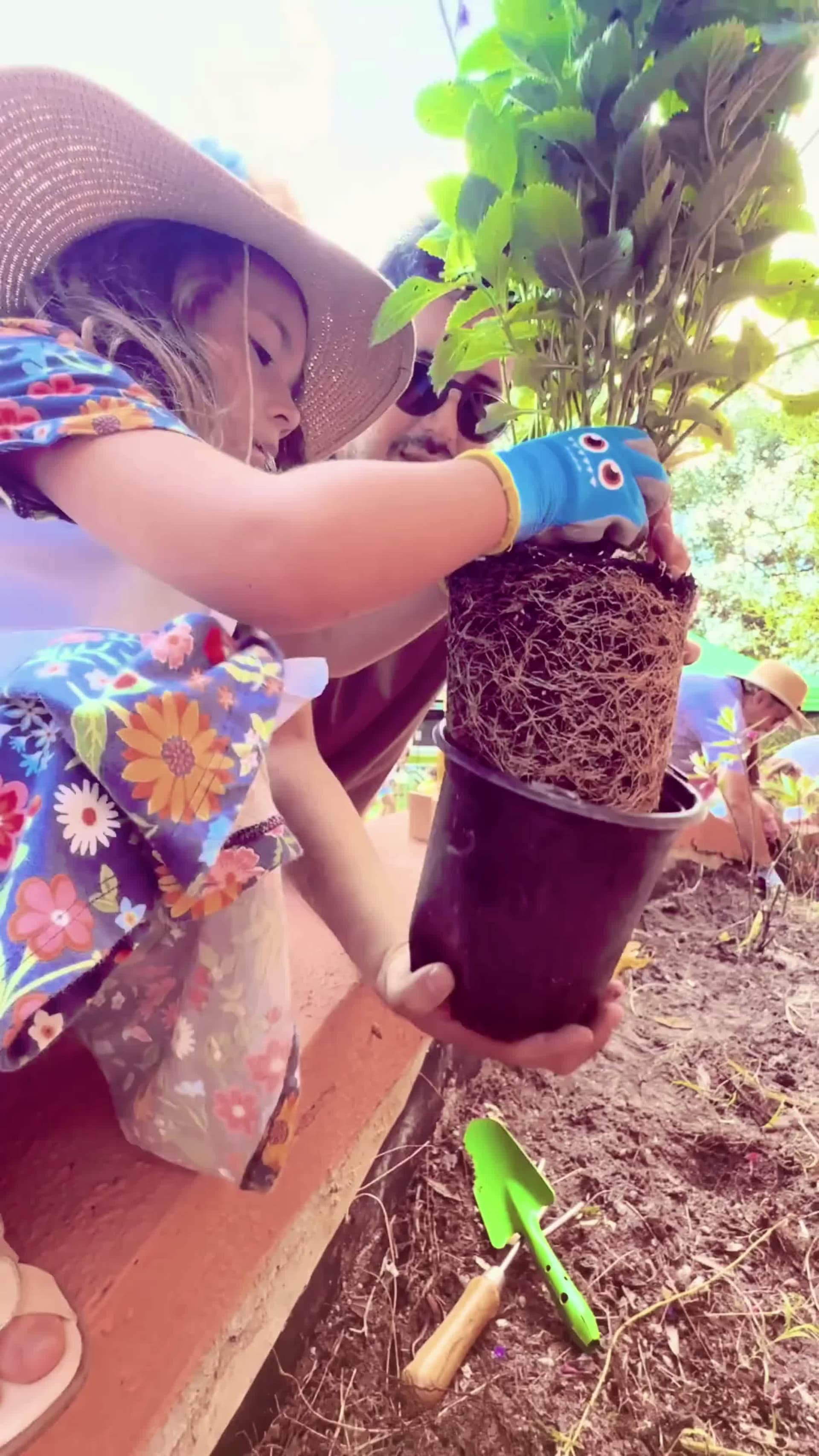 Family Planting Event for Pollinator Gardens
