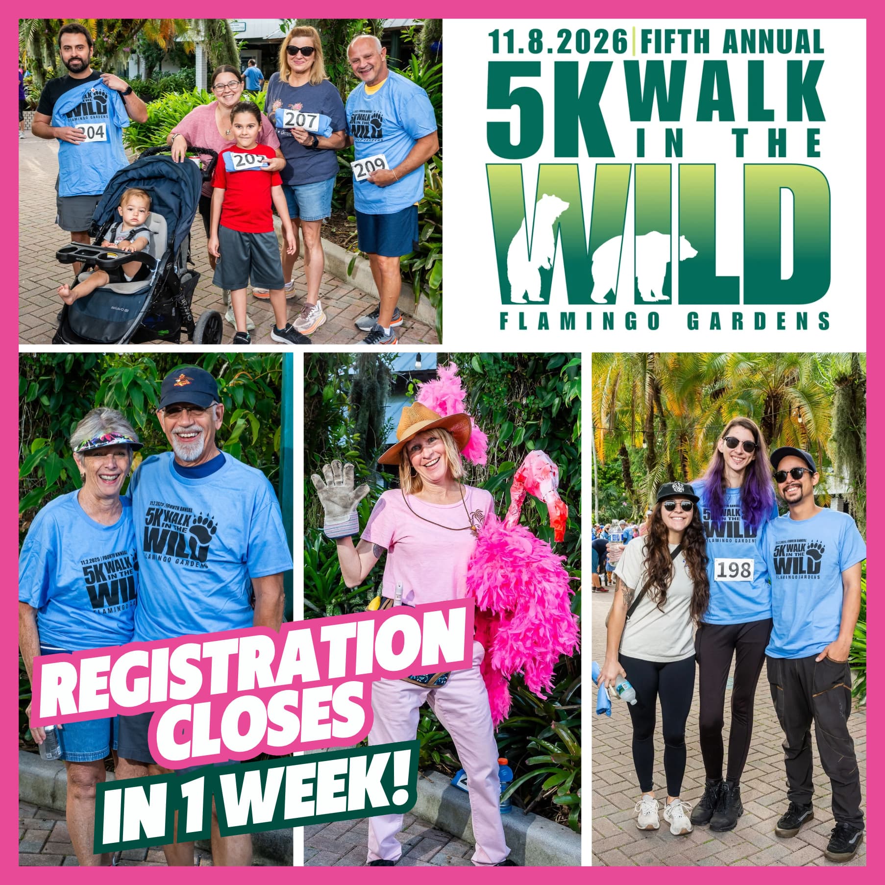 5K Walk in the Wild