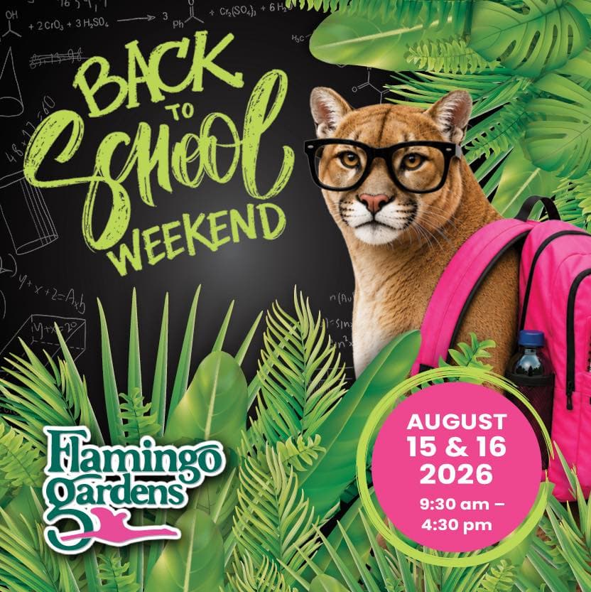 Back-to-School Weekend