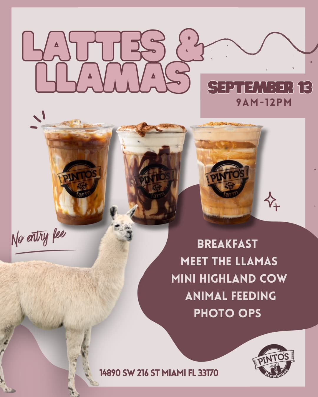 Lattes & Llamas