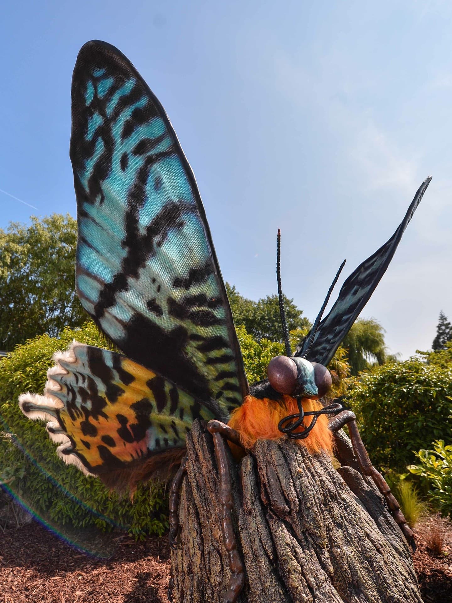 Bugtopia Opening Weekend Event