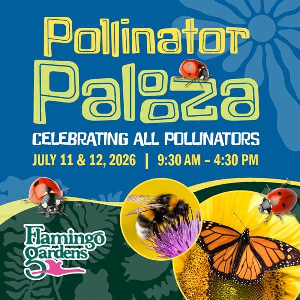 Pollinator Palooza