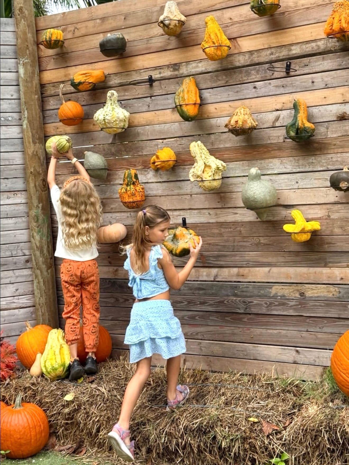 Fall Fun at Tinez Farms