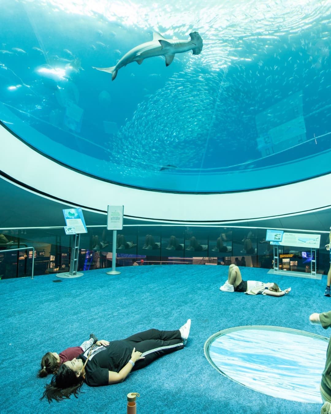 Just for Me Program - Sensory-Friendly Museum Experience