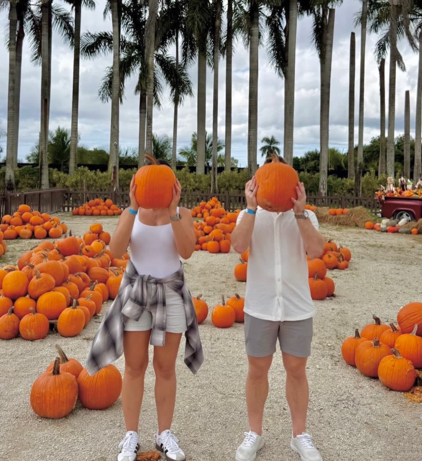 Pumpkin Patch