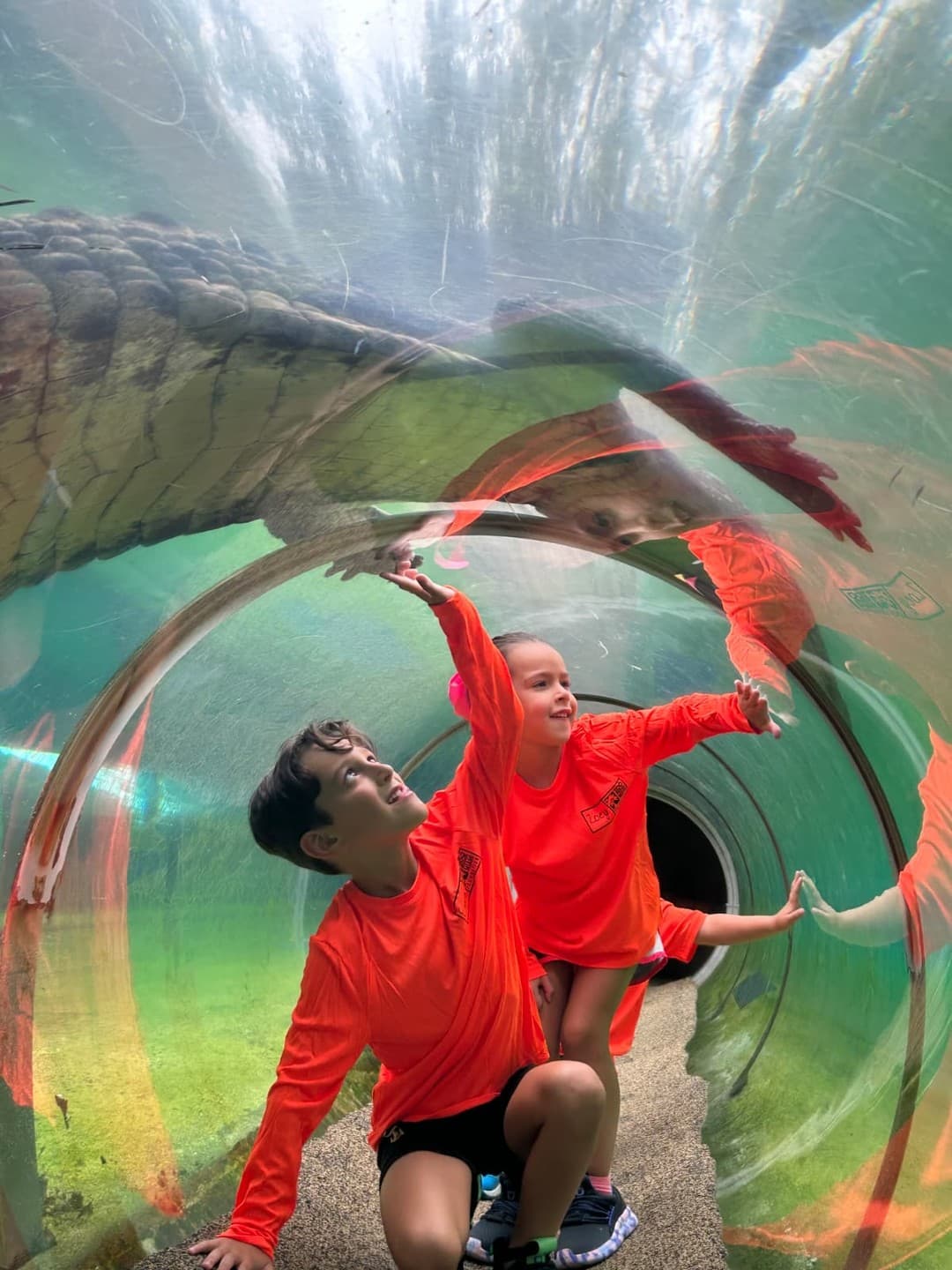 Zoo Miami Summer Camp