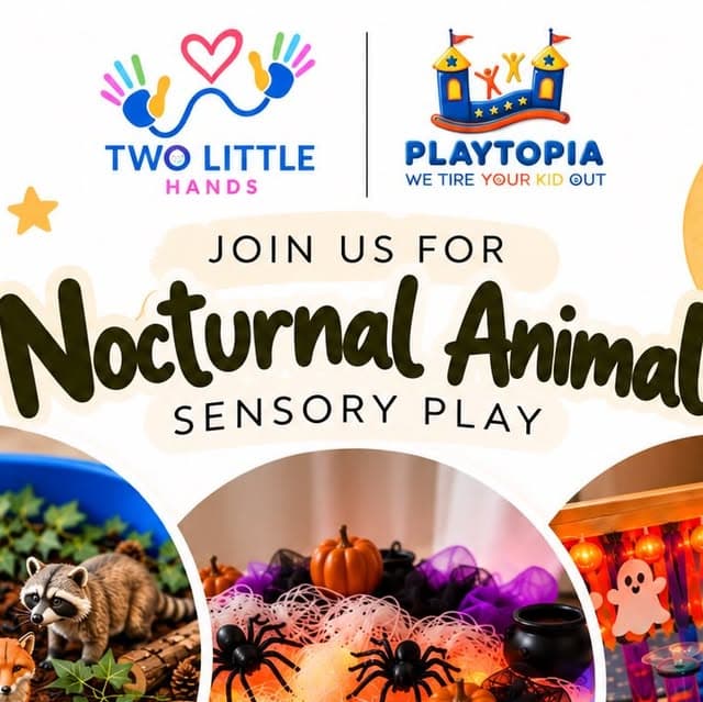 Nocturnal Animal Sensory Play