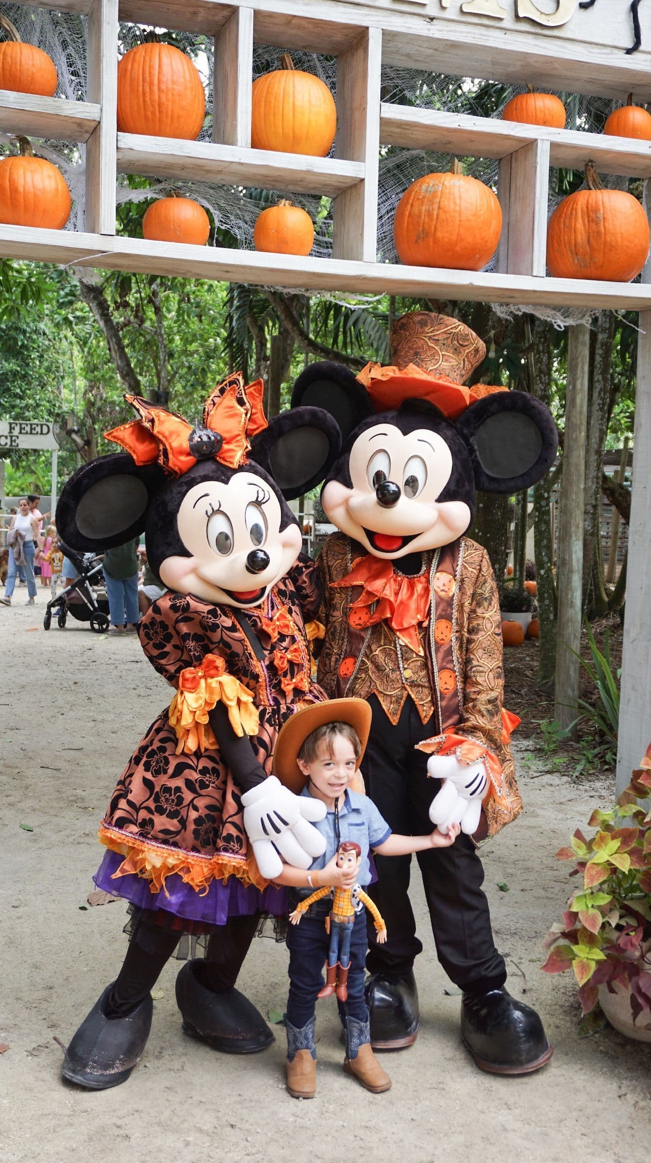 Harvest & Treats at Tinez Farms