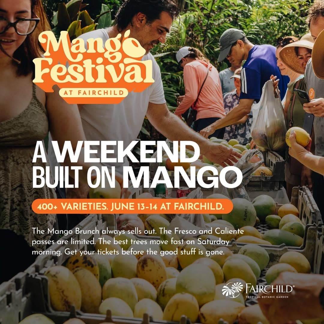 Mango Festival
