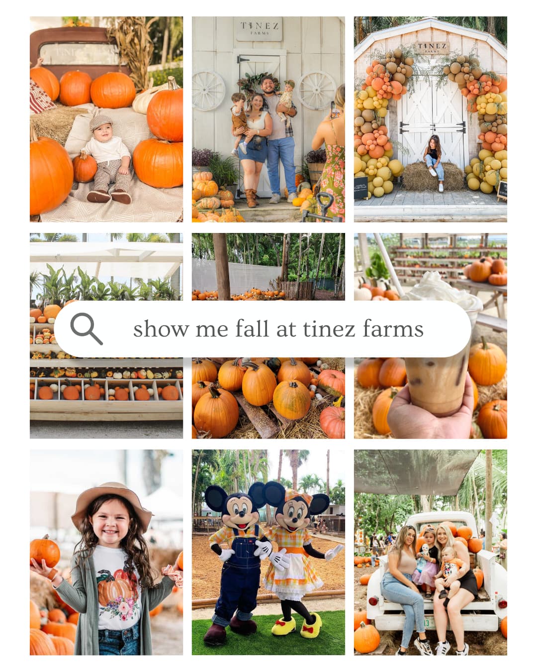 Tinez Farms Fall Opening Weekend