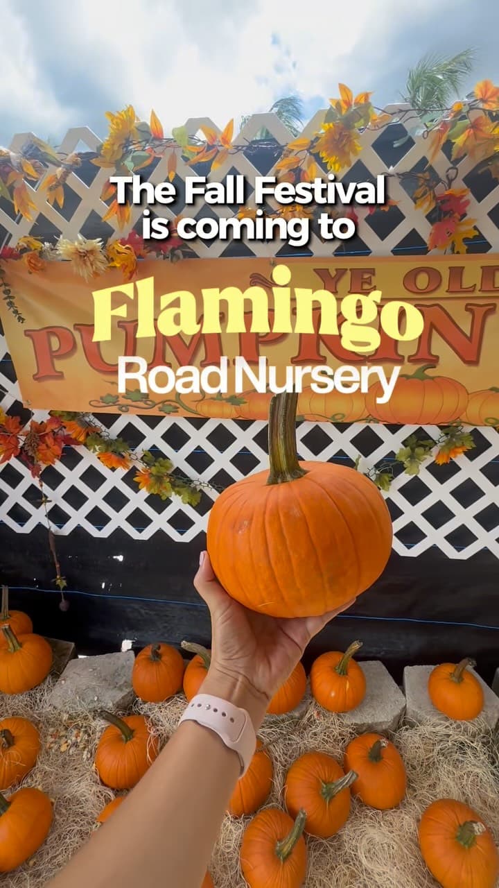 Fall Festival