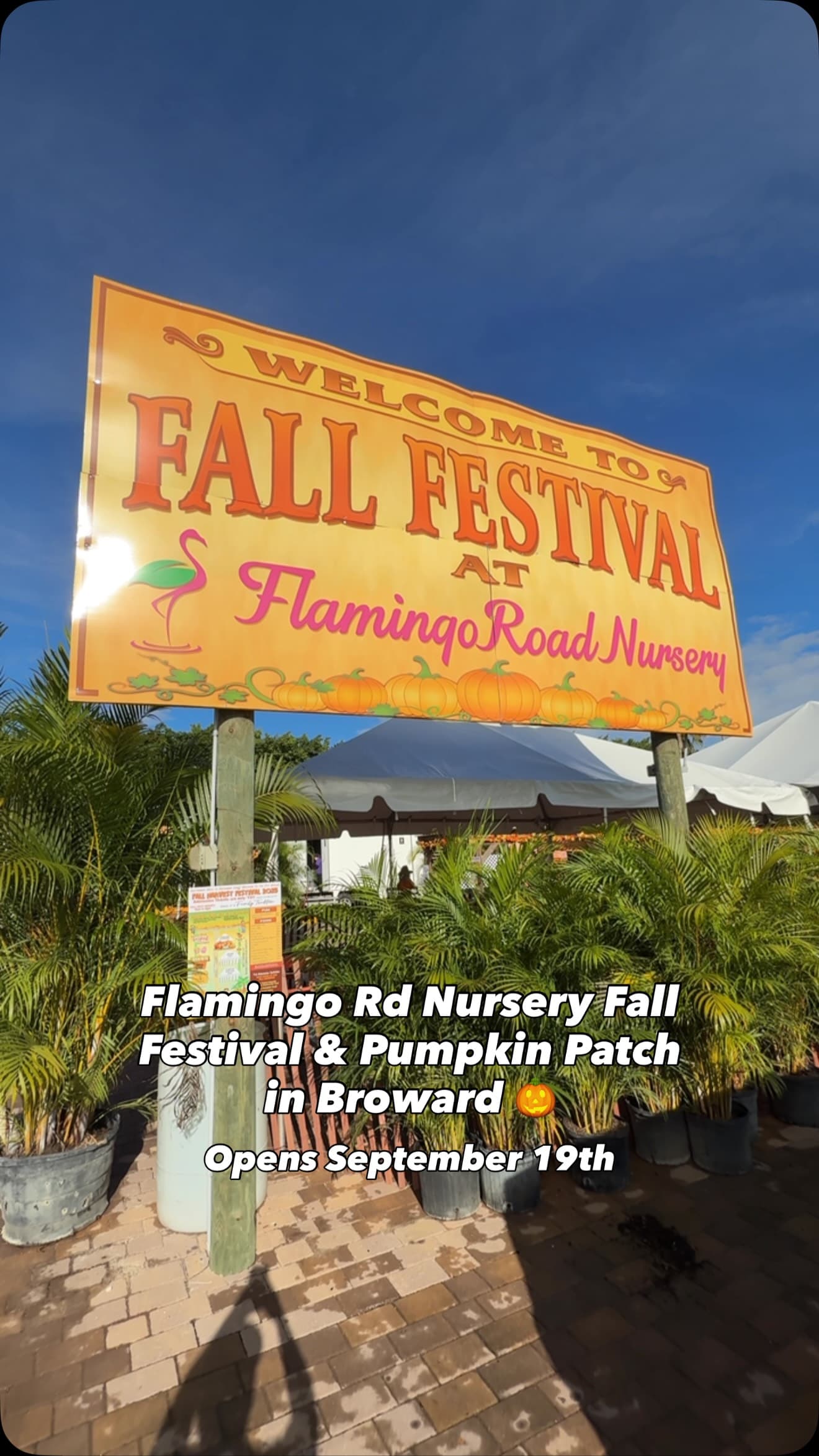 Fall Festival & Pumpkin Patch