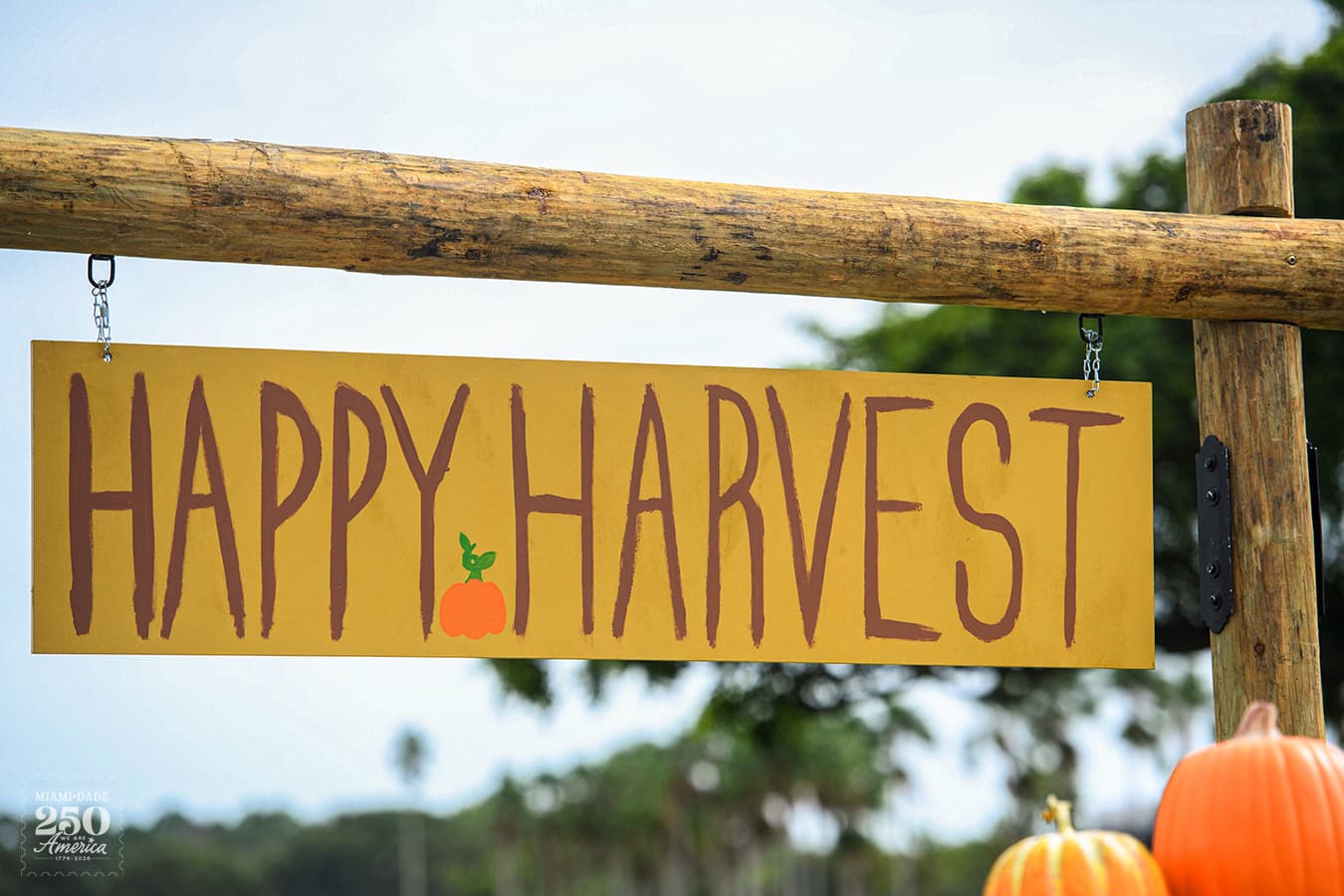 Harvest & Wellness Family Festival