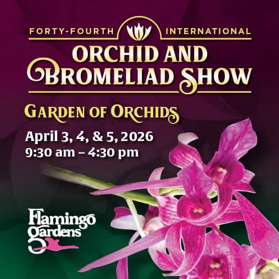 Garden of Orchids Easter Weekend at Flamingo Gardens