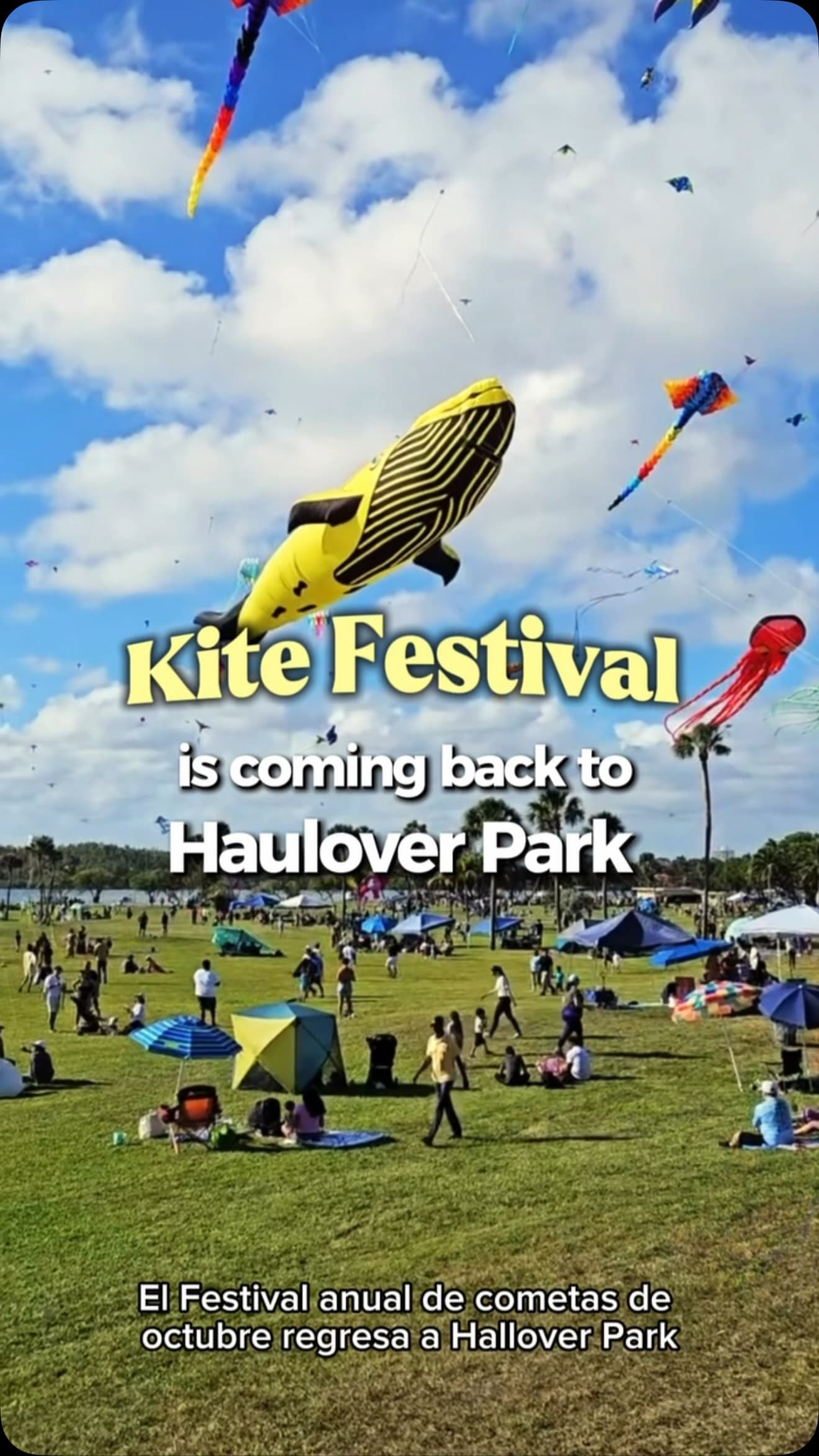 October Kite Festival