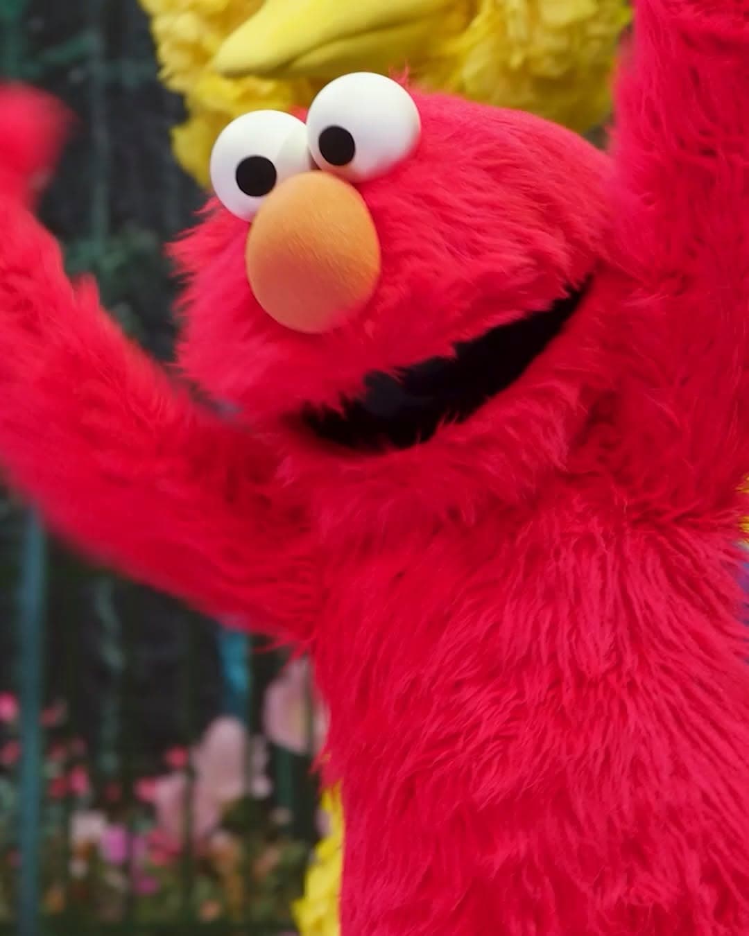 Elmo’s Got the Moves