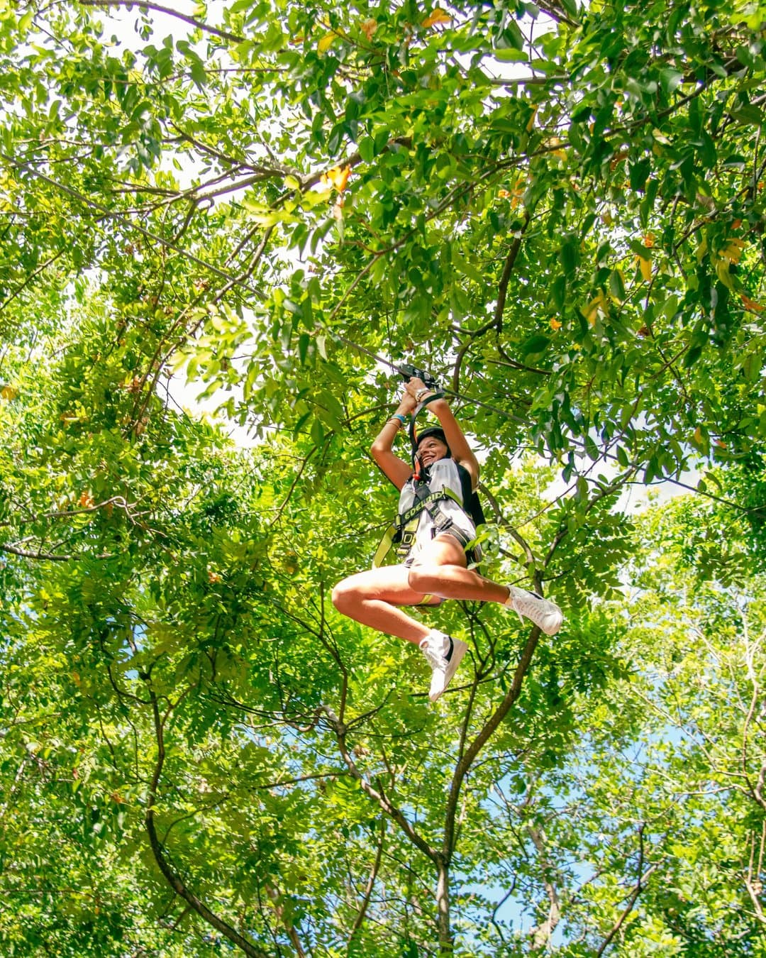 Summer Adventures at Treetop Trekking Miami