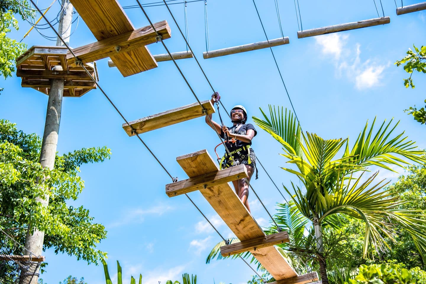 Aerial Adventure Park