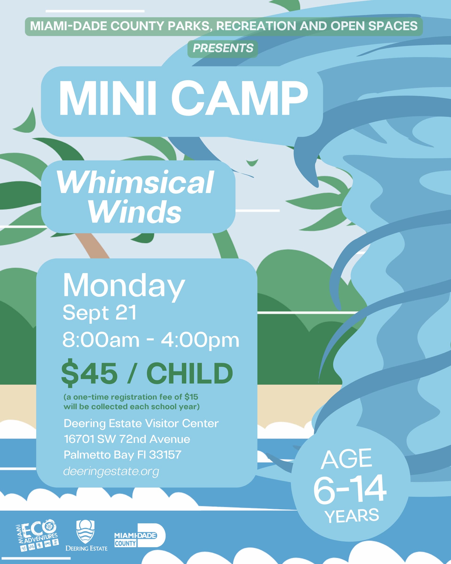 Whimsical Winds Mini Camp