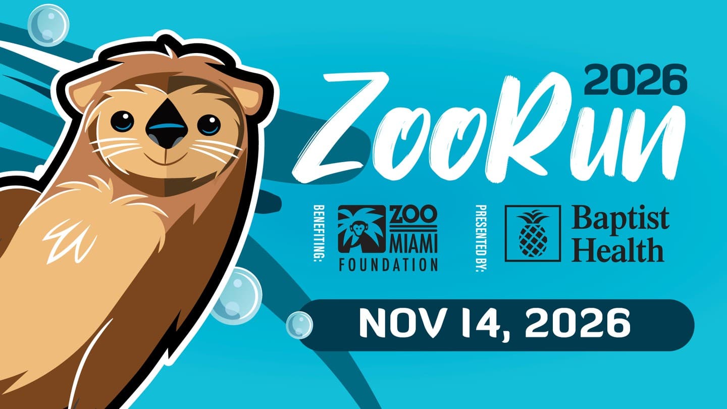 ZooRun