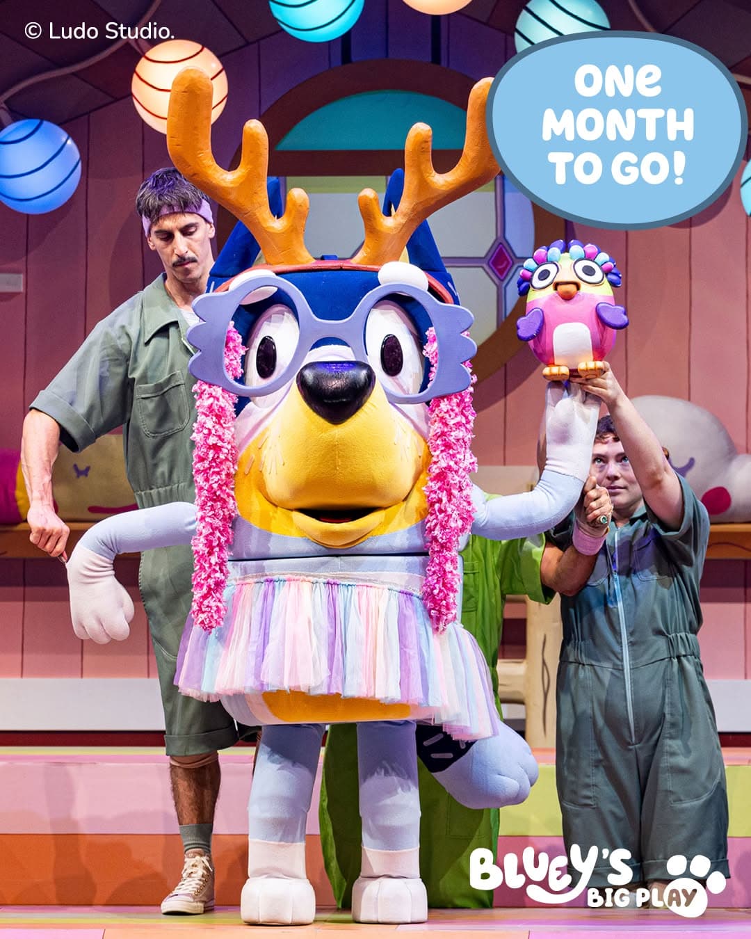 Bluey's Big Play The Stage Show