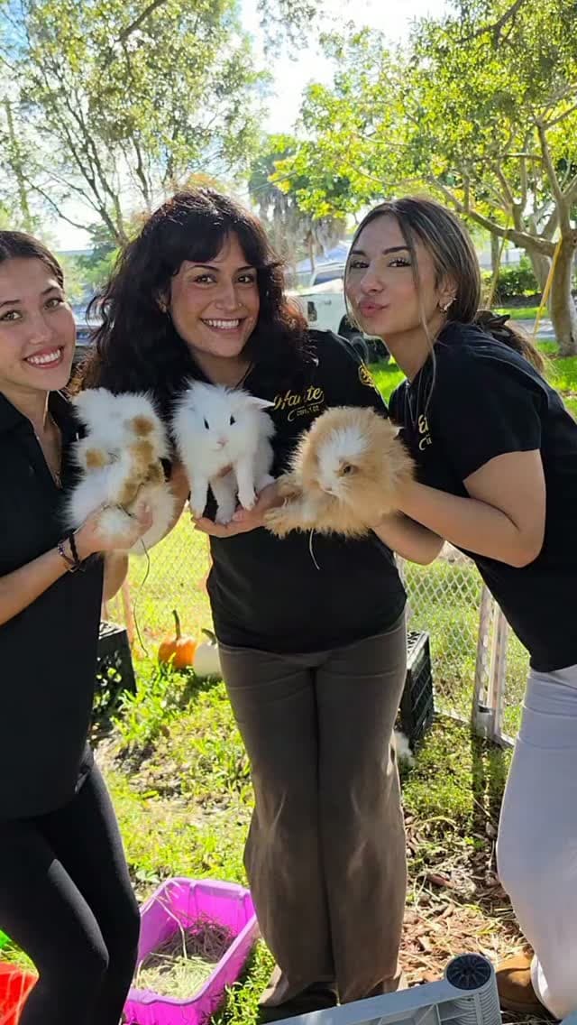 Baby Bunnies at the Farm Stand