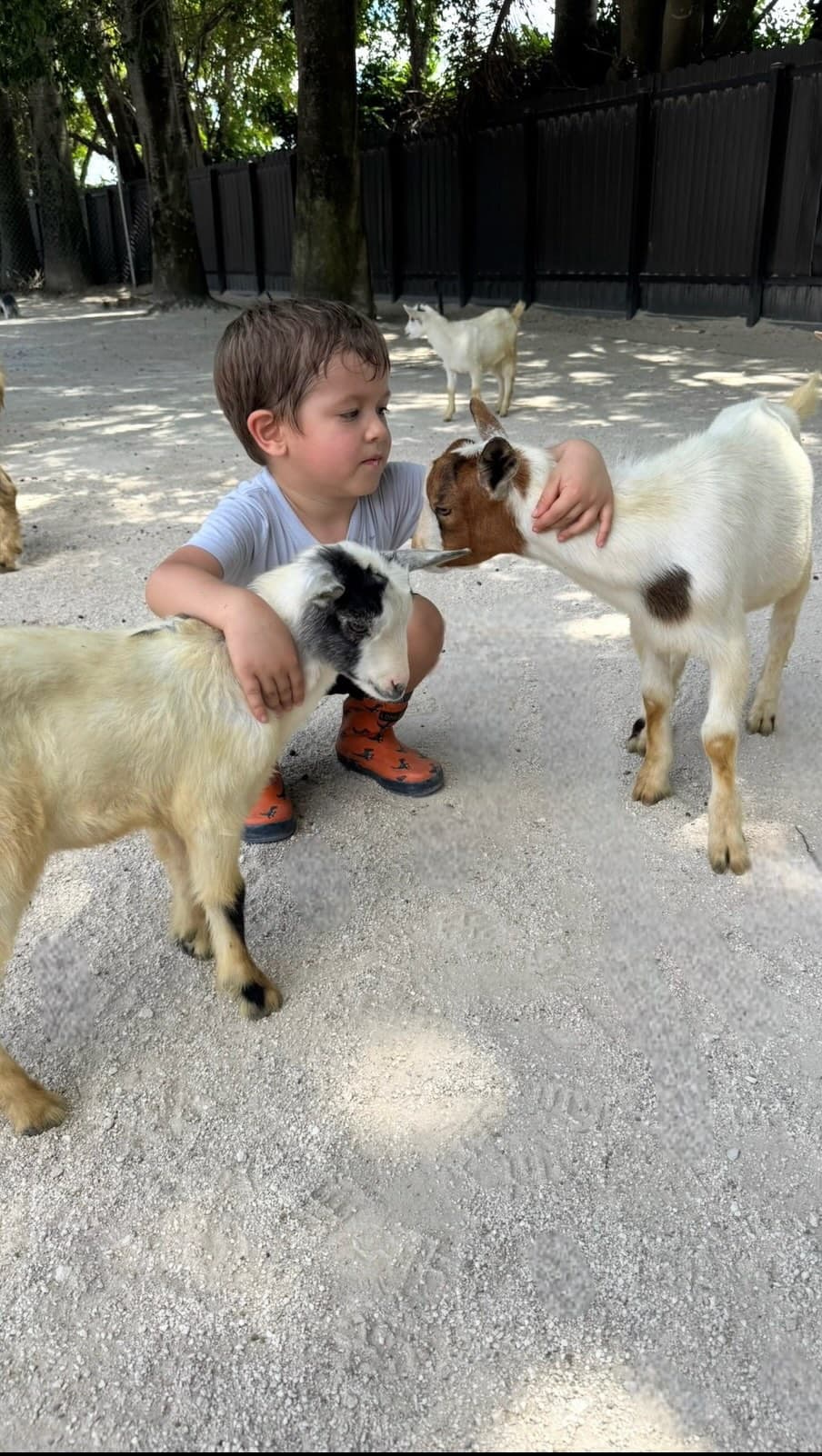 World Cup Games at Pinto's Farm