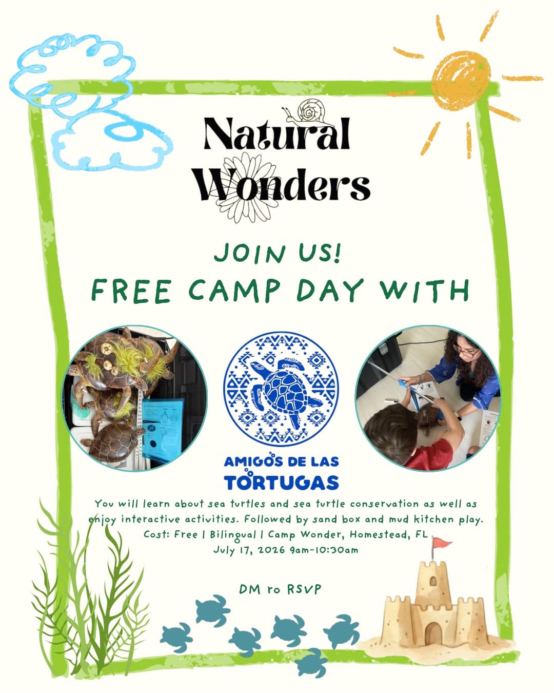 Free Camp Day with Amigos de las Tortugas