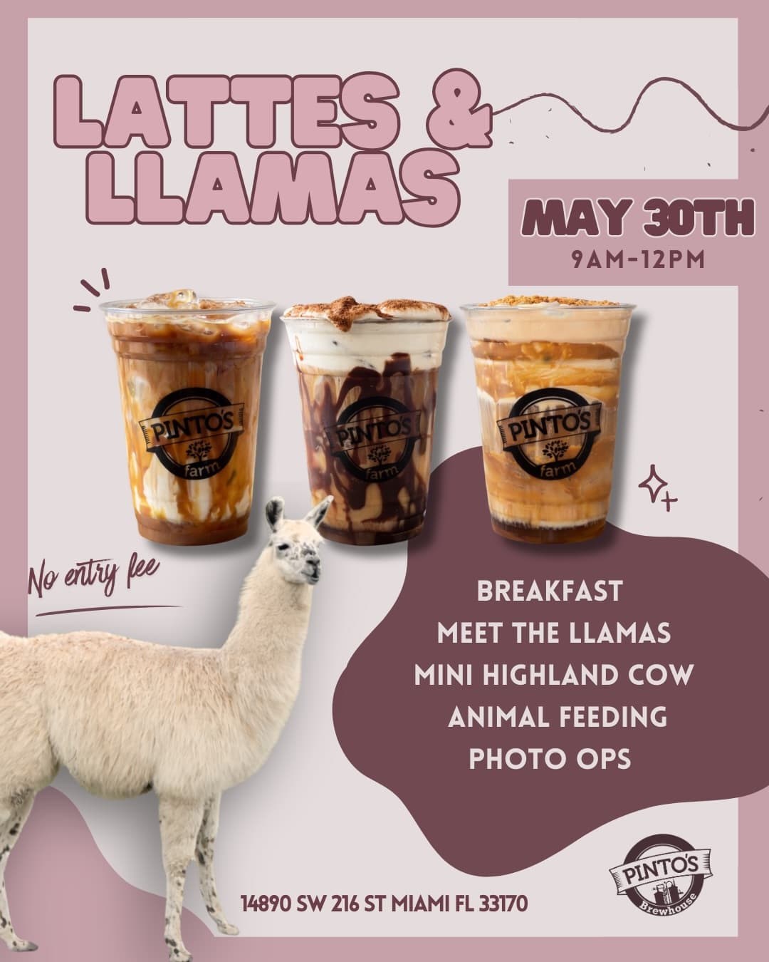 Lattes & Llamas