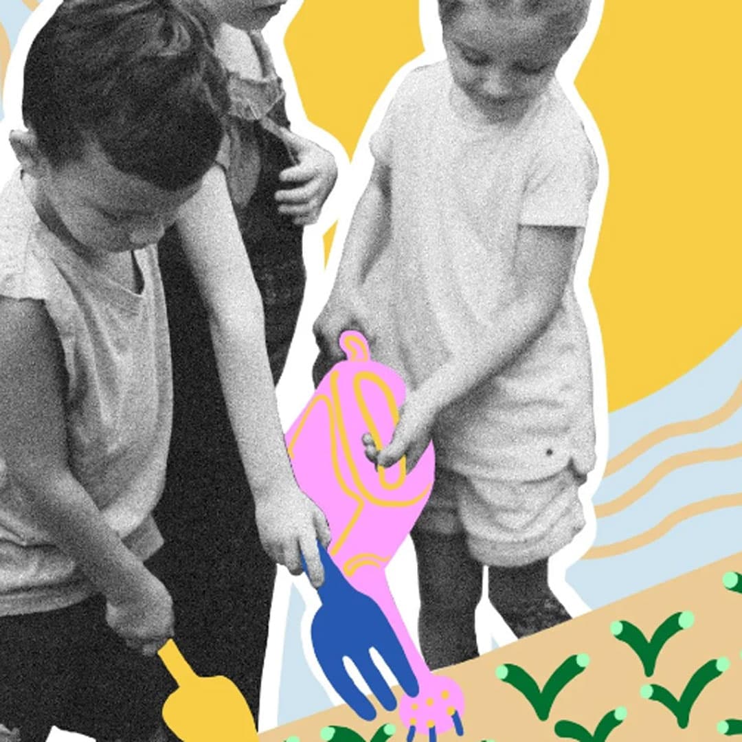 SEED Program Workshops