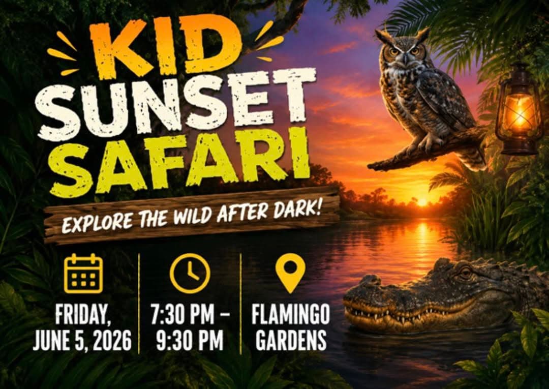 Kid Sunset Safari