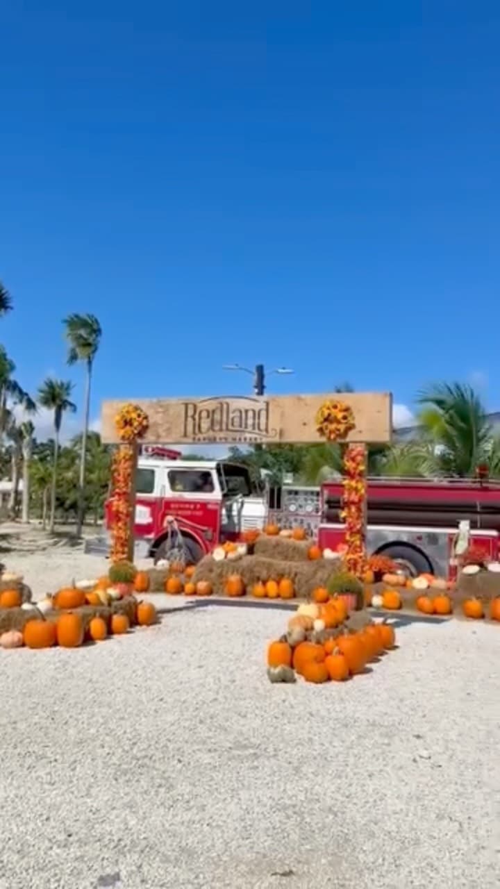 Halloween Weekend at Redland Farmers Market